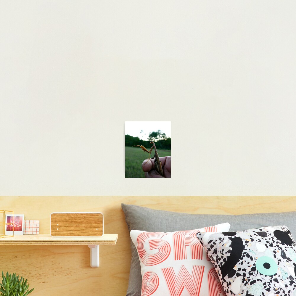 Item preview, Photographic Print designed and sold by alvinsan9.