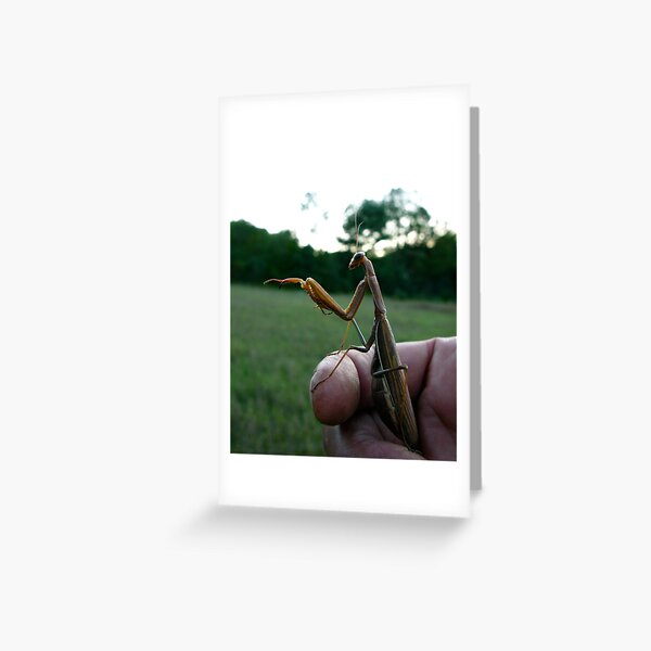 ET Guide Greeting Card