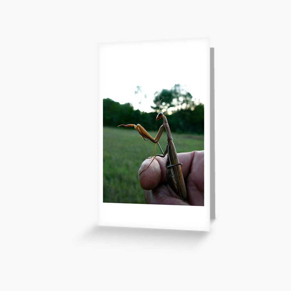 Item preview, Greeting Card designed and sold by alvinsan9.