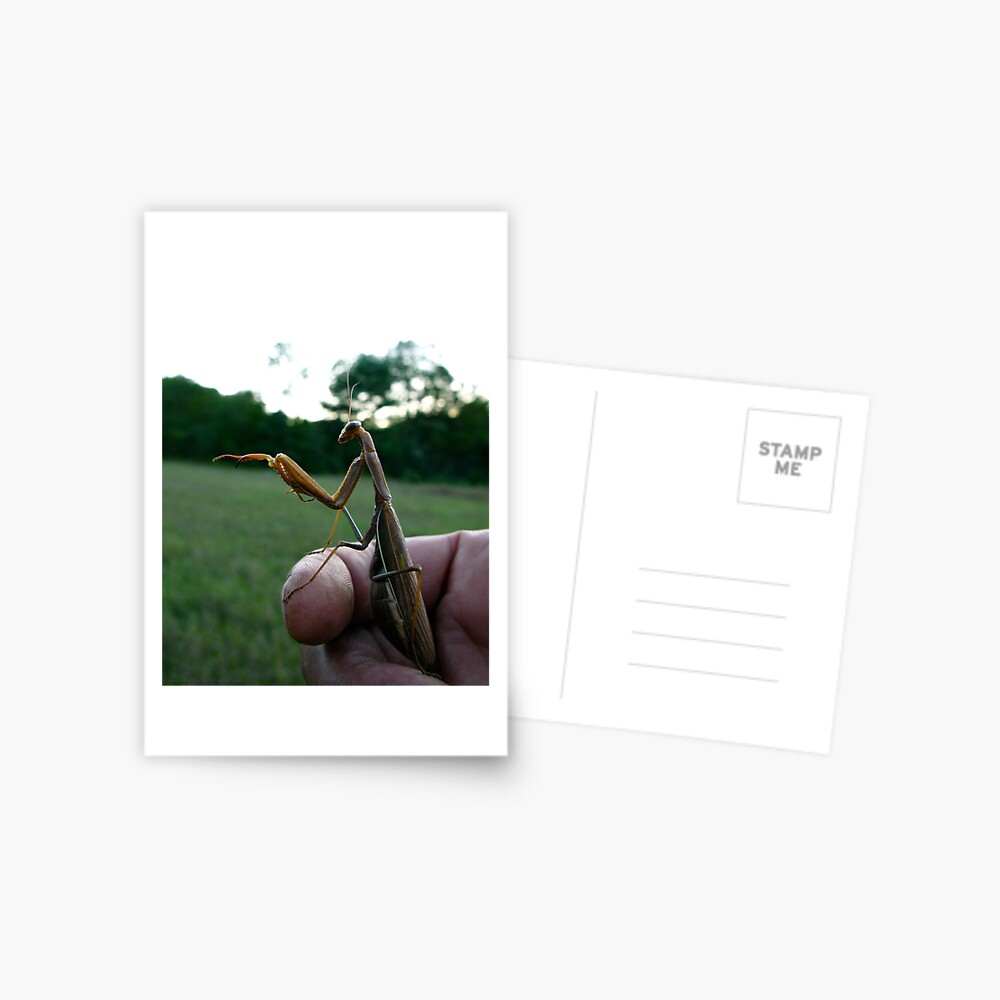 Item preview, Postcard designed and sold by alvinsan9.