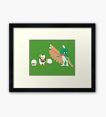 Rowlet Evolution Framed Print
