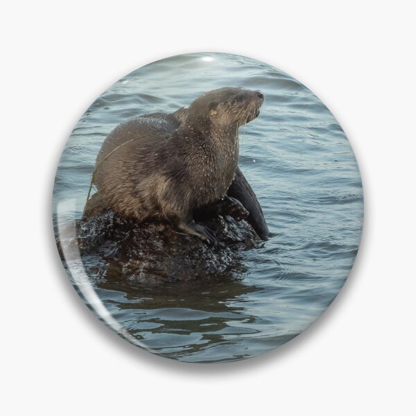 Item preview, Otter on a rock designed and sold by Anthony Brewer.