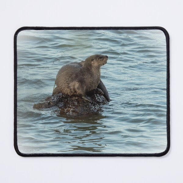 Item preview, Otter on a rock designed and sold by Anthony Brewer.