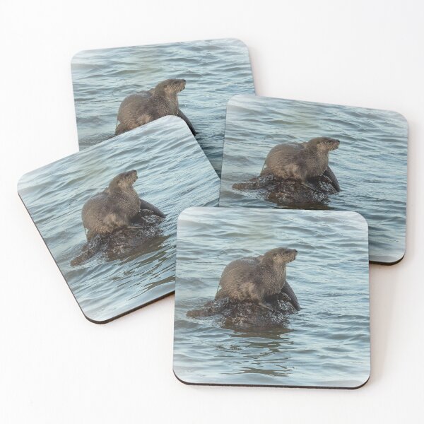 Item preview, Otter on a rock designed and sold by Anthony Brewer.