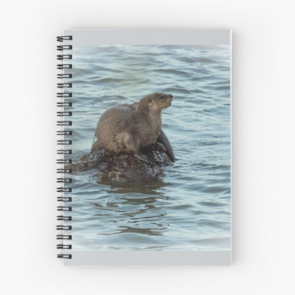 Item preview, Otter on a rock designed and sold by Anthony Brewer.