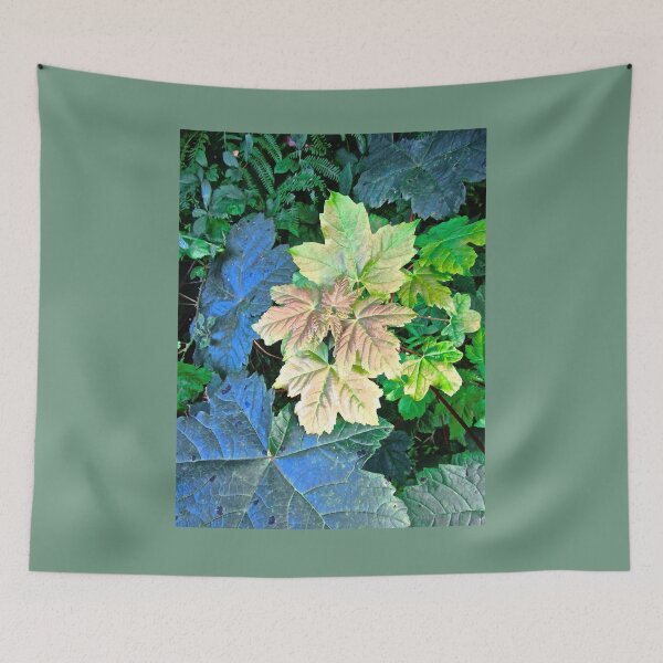 Item preview, Colourful leaves designed and sold by Shulie1.