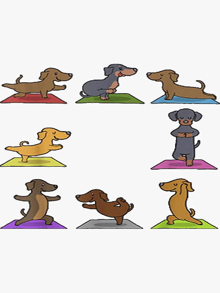 "Dachshund Yoga Funny Dogs in Yoga Poses Sports " Sticker for Sale by