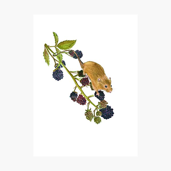 Item preview, Autumn Mouse designed and sold by Sarah Addy.
