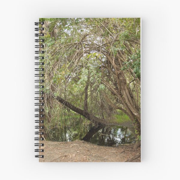Item preview, N 32° 50.580 W 117° 00.143 designed and sold by Mallory Harben.