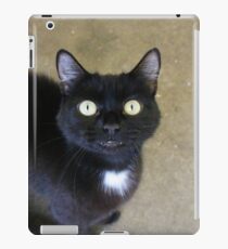 Winnie iPad Case/Skin