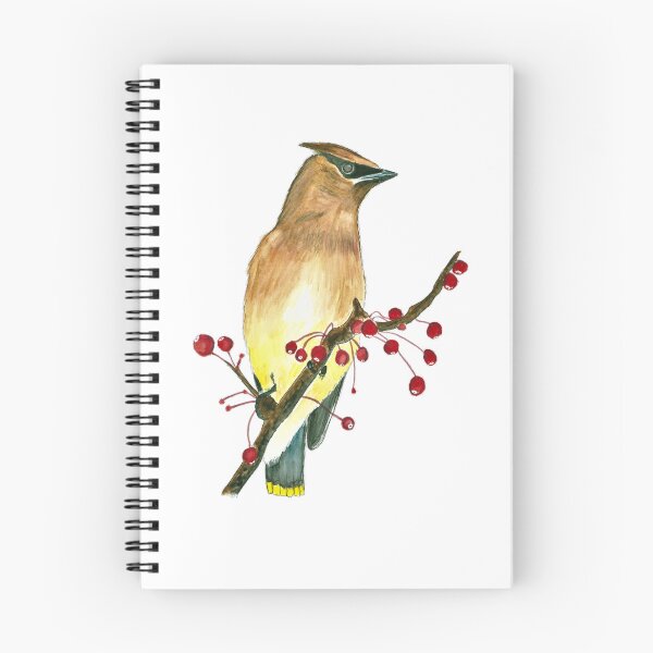 Item preview, Cedar Waxwing (watercolour) designed and sold by Sarah Addy.