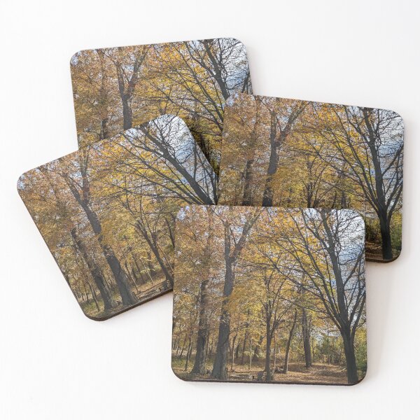 Item preview, Northern Woods designed and sold by UPNortheren.