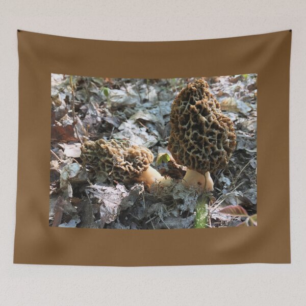 Item preview, First Morels designed and sold by Speckle.