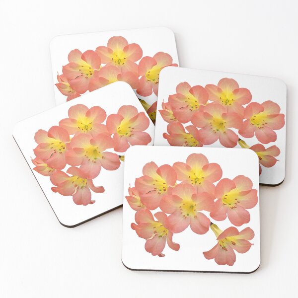 Item preview, Red, Yellow, Orange Rhododendron section Vireya designed and sold by Shapes-Mania.