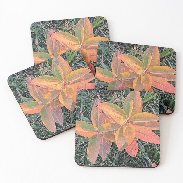 Item preview,  Two Orange Plants Green Grass "Photography of Nature" designed and sold by Istvan Ocztos.