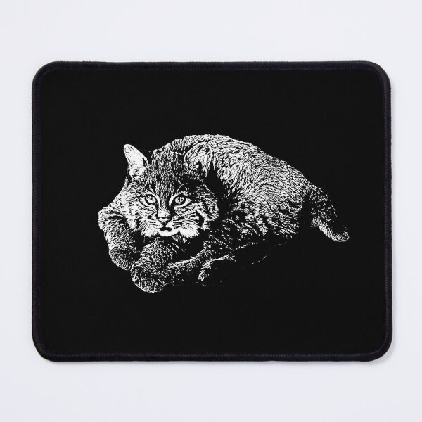 Item preview, Bobcat cub designed and sold by Guardi71.