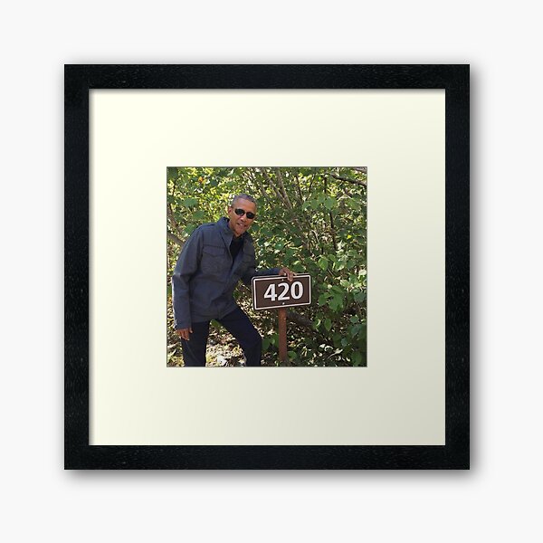 420 Obama Print Framed Art Print