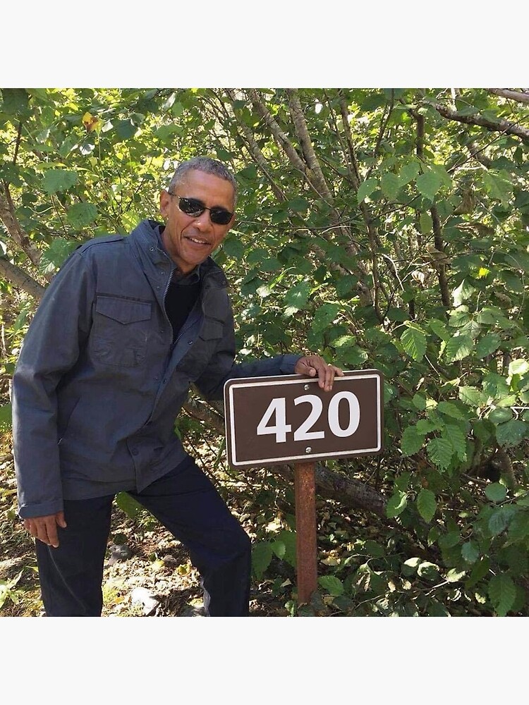 420 Obama Print by budgetnudest