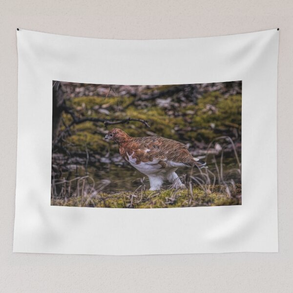 Item preview, Ptarmigan designed and sold by akaurora.
