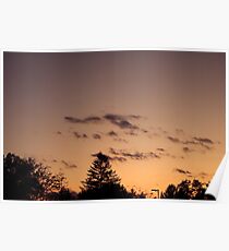 Trees and sunset Poster