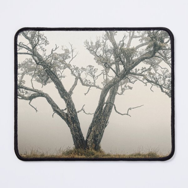 Item preview, Tree on Mount  Eden designed and sold by Alex Preiss.