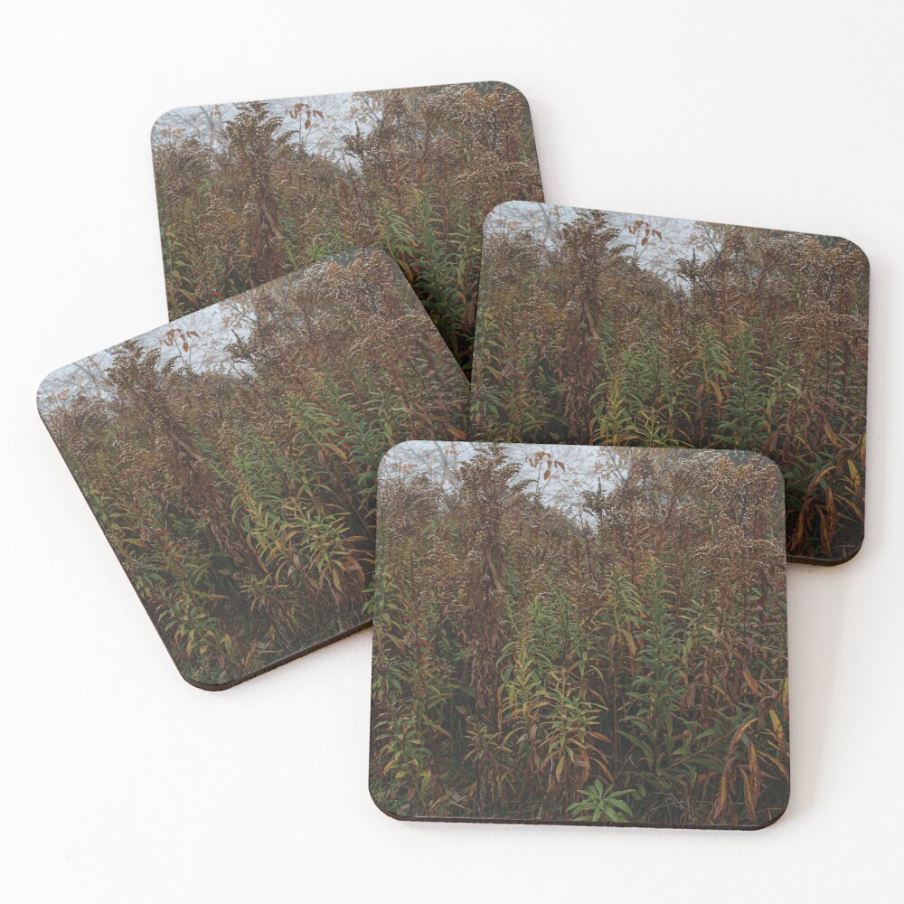 Item preview, Coasters (Set of 4) designed and sold by OneCreativePup.