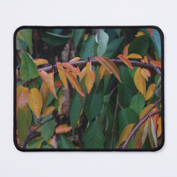 Item preview, Bright Leaves designed and sold by OneCreativePup.