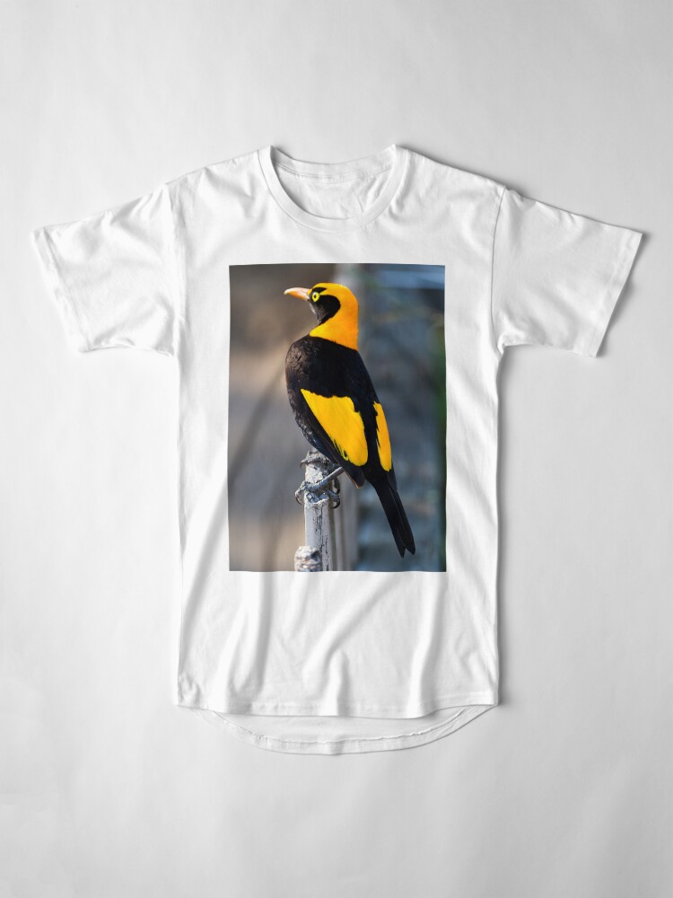 Long T-Shirt, Regent Bower Bird - Lamington National Park, Australia designed and sold by Richard  Windeyer