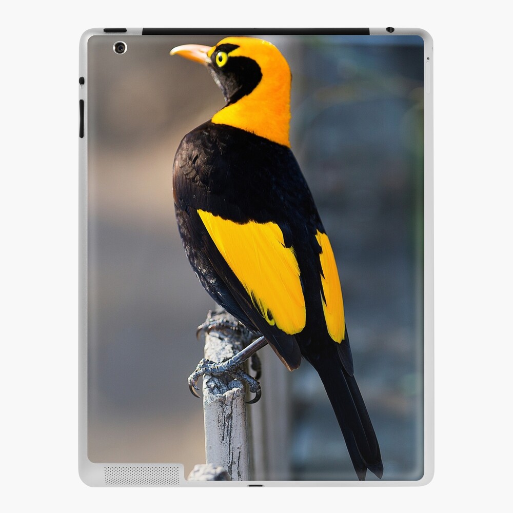 Item preview, iPad Skin designed and sold by RICHARDW.