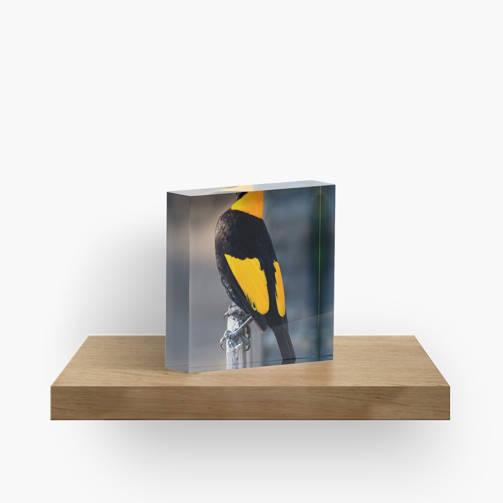 Item preview, Acrylic Block designed and sold by RICHARDW.