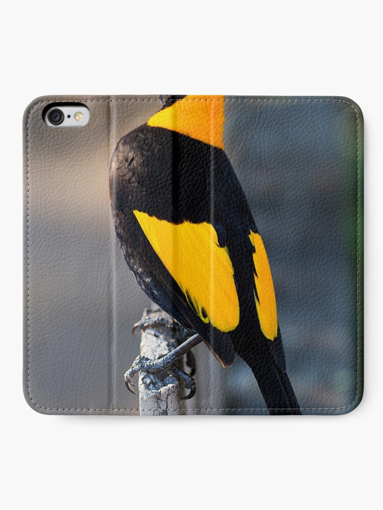 Alternate view of Regent Bower Bird - Lamington National Park, Australia iPhone Wallet