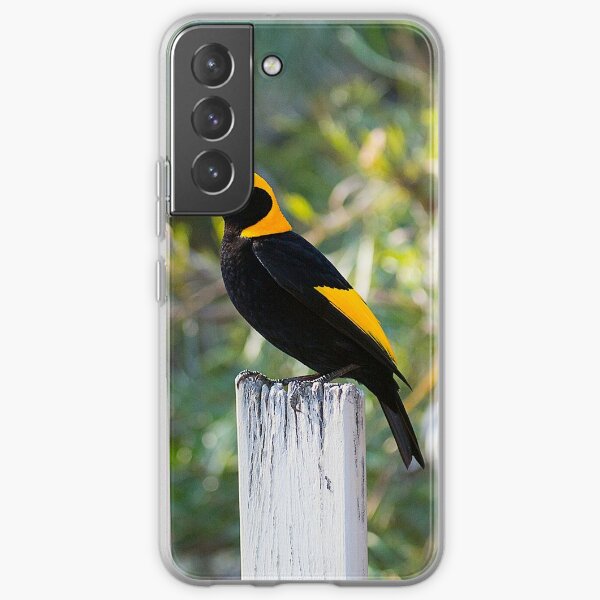 Regent Bower Bird, Lamington National Park, Australia Samsung Galaxy Soft Case