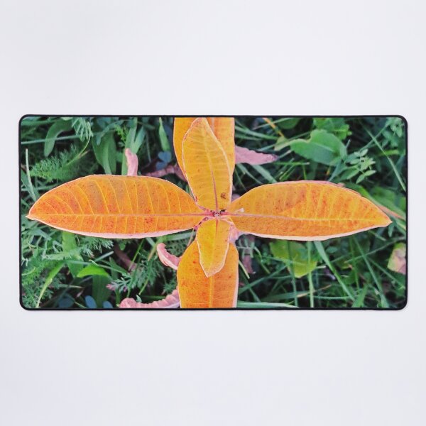 Item preview, Orange Plant Green Grass "Photography of Nature" designed and sold by Istvan Ocztos.