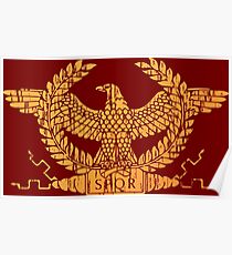 Roman Empire Flag Standard Poster