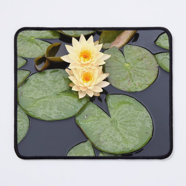 Item preview, Lily Pad Duo designed and sold by okomedesign.