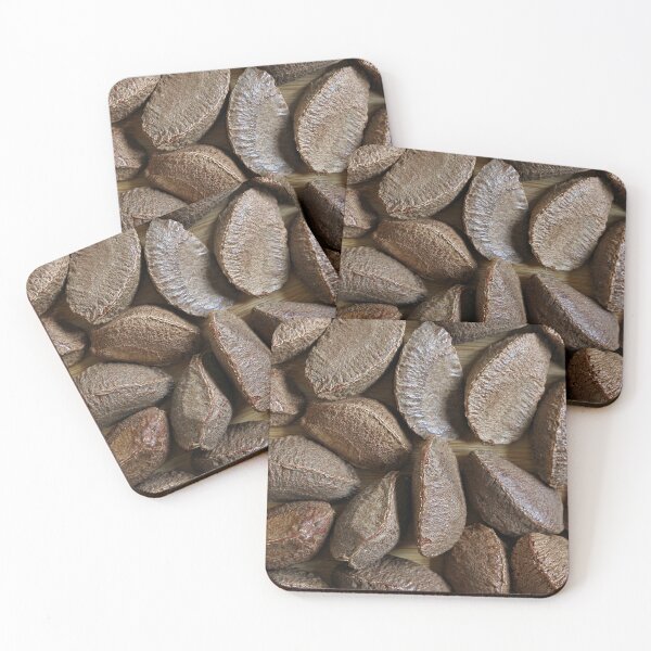 Item preview, Brazil nuts designed and sold by pinkal.