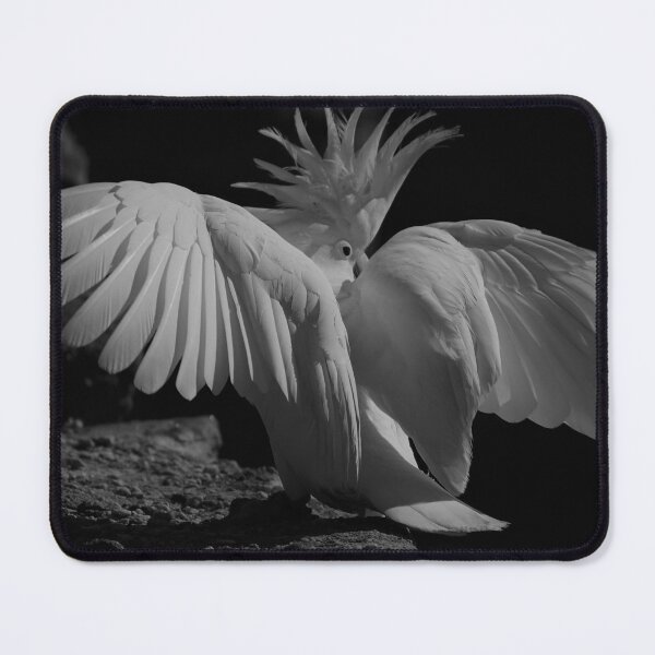 Item preview, All Feathers Flying designed and sold by Annalucia.