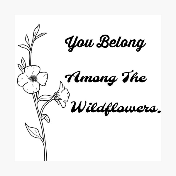 Tom Petty Wildflowers Photographic Prints Redbubble