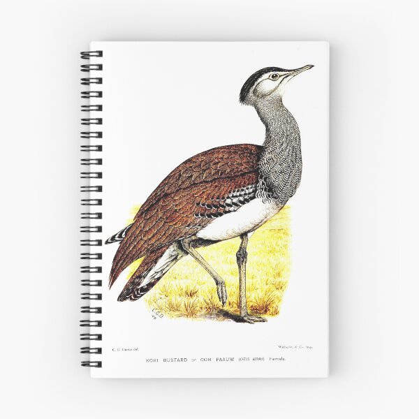 Item preview, Kori Bustard by C. G. Finch-Davies designed and sold by Amanda1775.