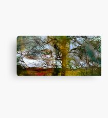tasseomancy in a forest Canvas Print