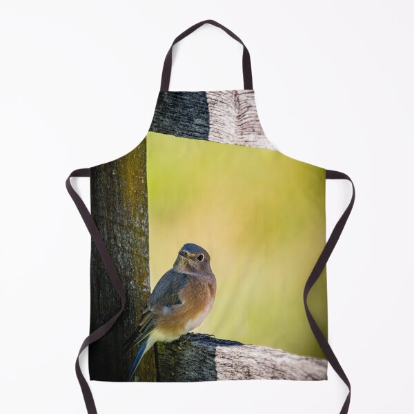 Item preview, Curiosity designed and sold by akiobsession.