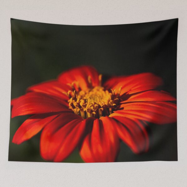 Item preview, Tithonia designed and sold by akiobsession.