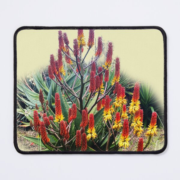 Item preview, Red hot pokers designed and sold by indiafrankk.
