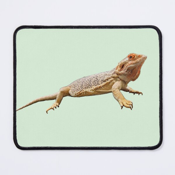 Item preview, A Whole Bearded Dragon designed and sold by ForgsRUs.