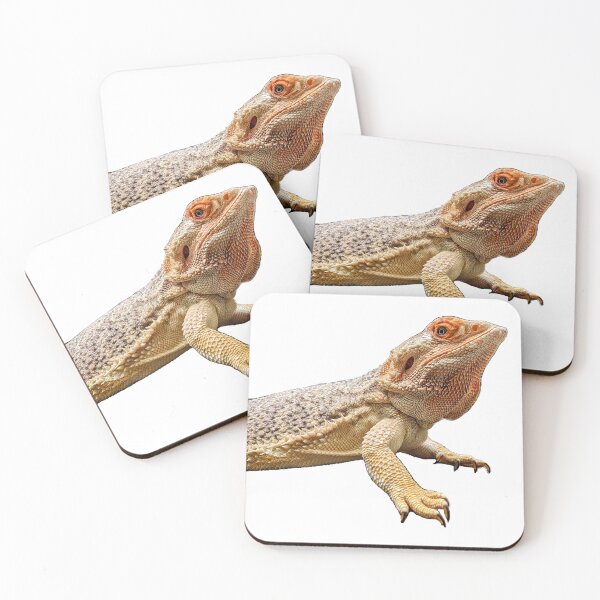 Item preview, A Whole Bearded Dragon designed and sold by ForgsRUs.
