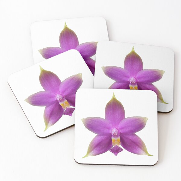 Item preview, Phalaenopsis violacea var sumatrana orchid designed and sold by Floral-Art.