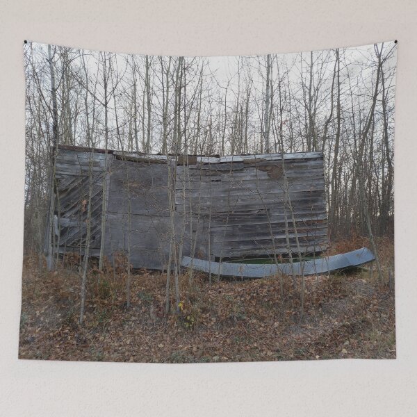 Item preview, Country Living: Broken Down Wooden Trailer Overgrown with Trees designed and sold by TaraTs.