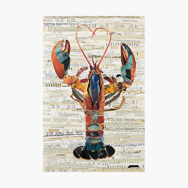 Lobster Collage by C.E. White Photographic Print