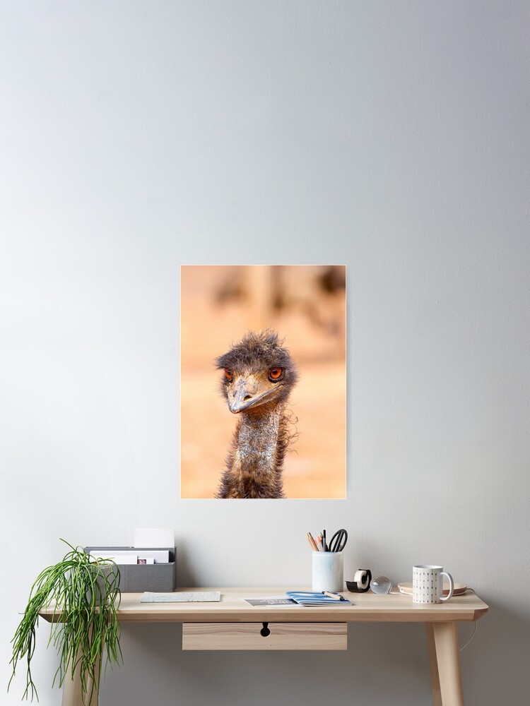 Thumbnail 1 of 3, Poster, Emu Eyes designed and sold by Richard Windeyer.
