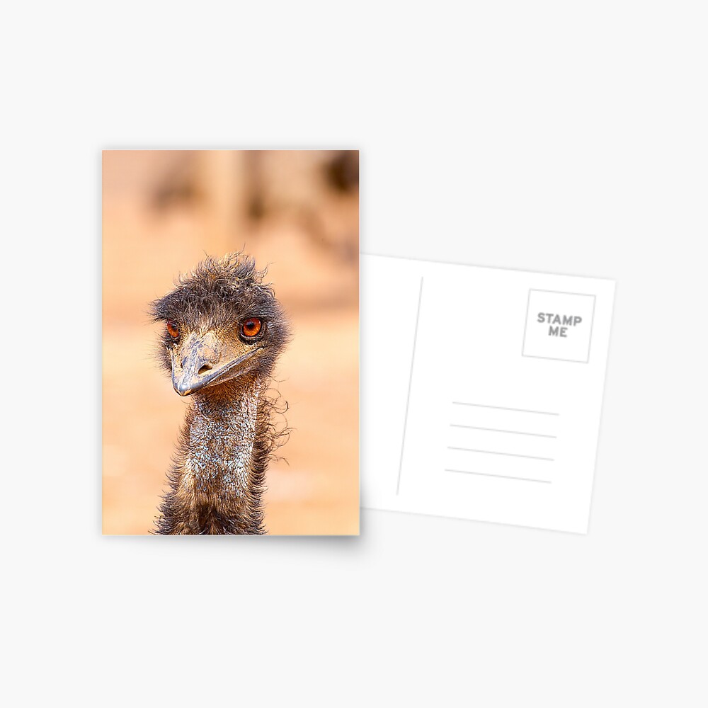 Item preview, Postcard designed and sold by RICHARDW.